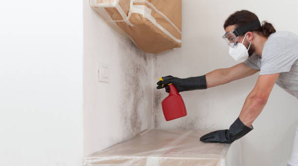 Professional Crawl Space Mold Removal technician working in Lebanon, IL