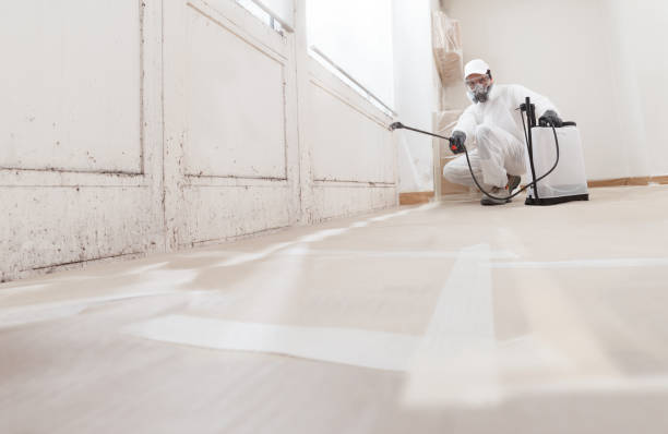 24/7 Emergency Crawl Space Mold Removal experts in Lebanon, IL